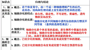 细胞的衰老、凋亡与癌变1 ppt课件.ppt