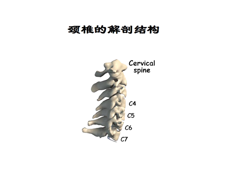 n专家图解颈椎病的预防与保健.ppt_第1页