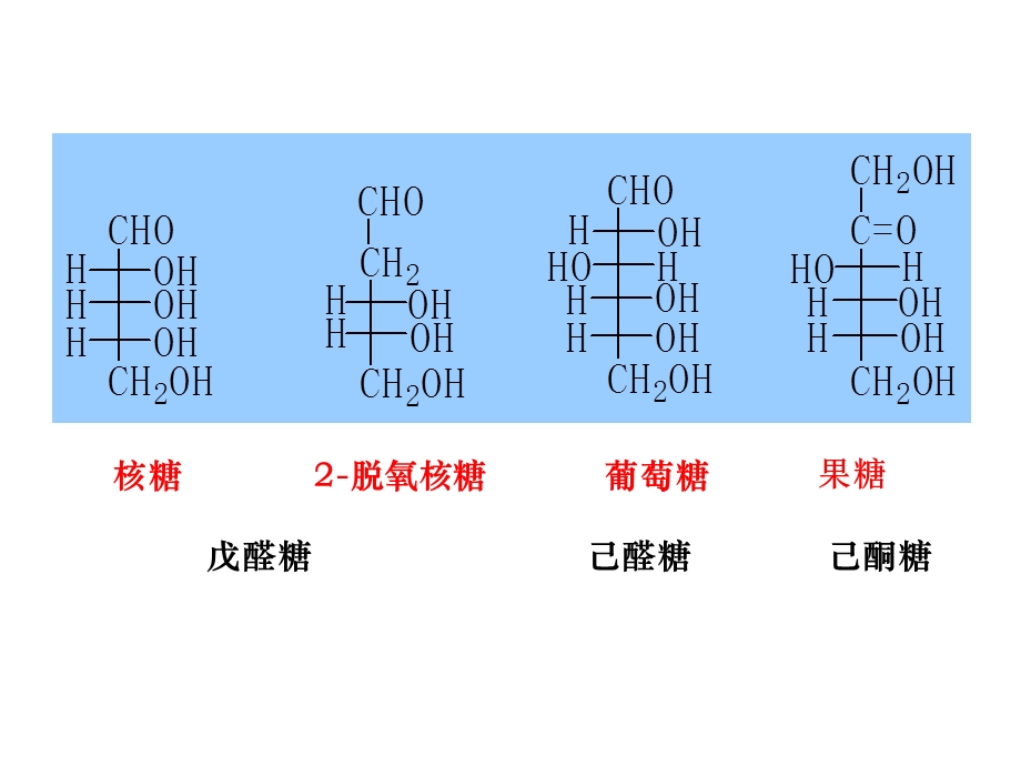 第四节碳水化合物.ppt_第3页