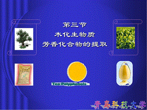 木化生物质芳香化合物的提取.ppt