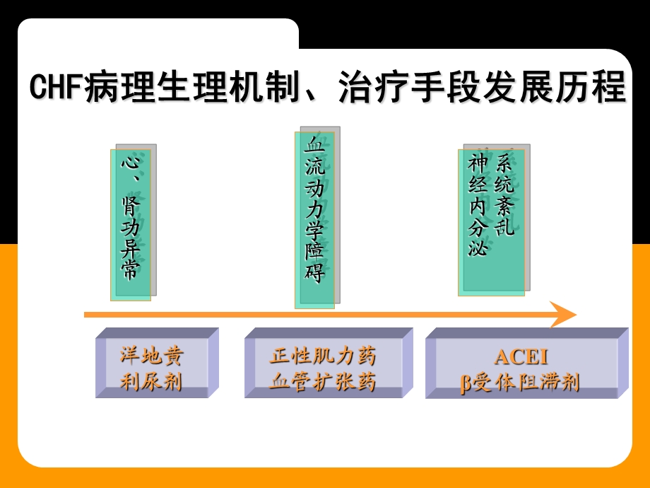 心力衰竭的血液超滤治疗.ppt_第3页