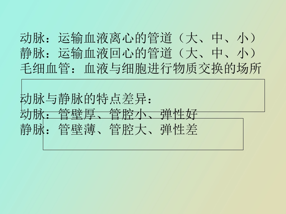 心血管系统动脉.ppt_第2页