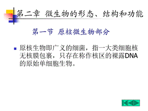 微生物的形态、结构和功能.ppt