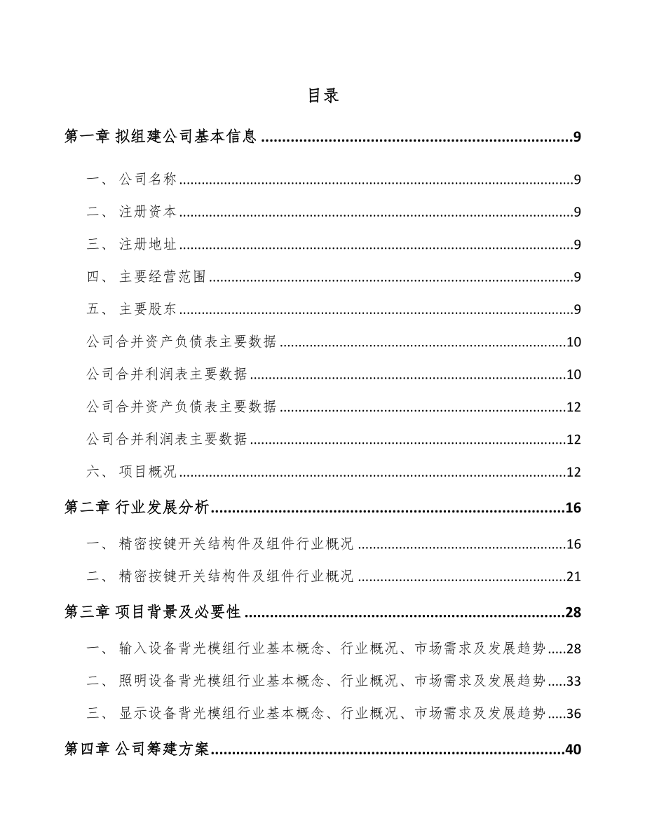 哈尔滨关于成立导光结构件公司可行性报告.docx_第2页