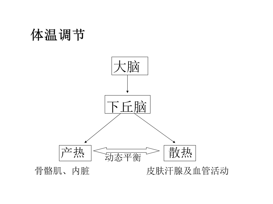 骨骼肌内脏.ppt_第1页