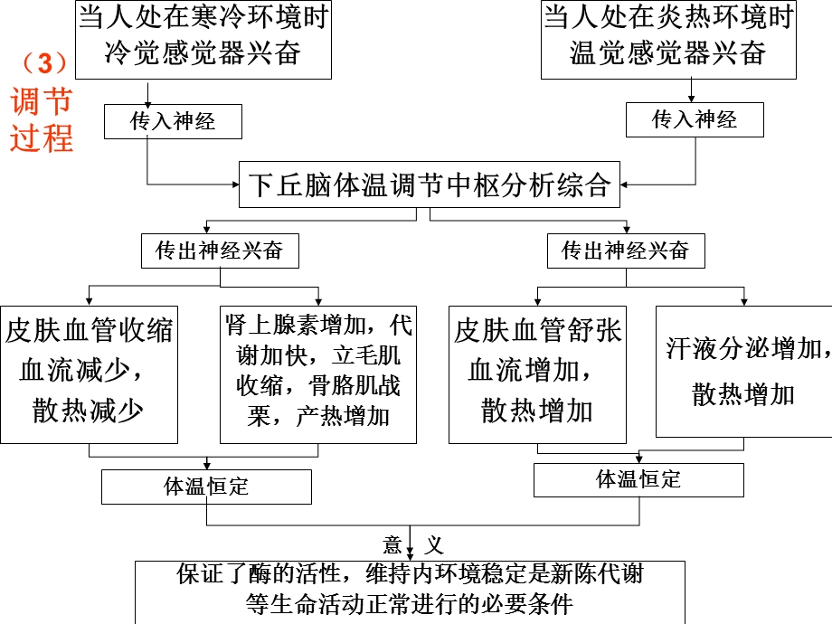 骨骼肌内脏.ppt_第3页