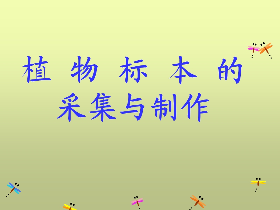 植物标本制作课件.ppt_第2页