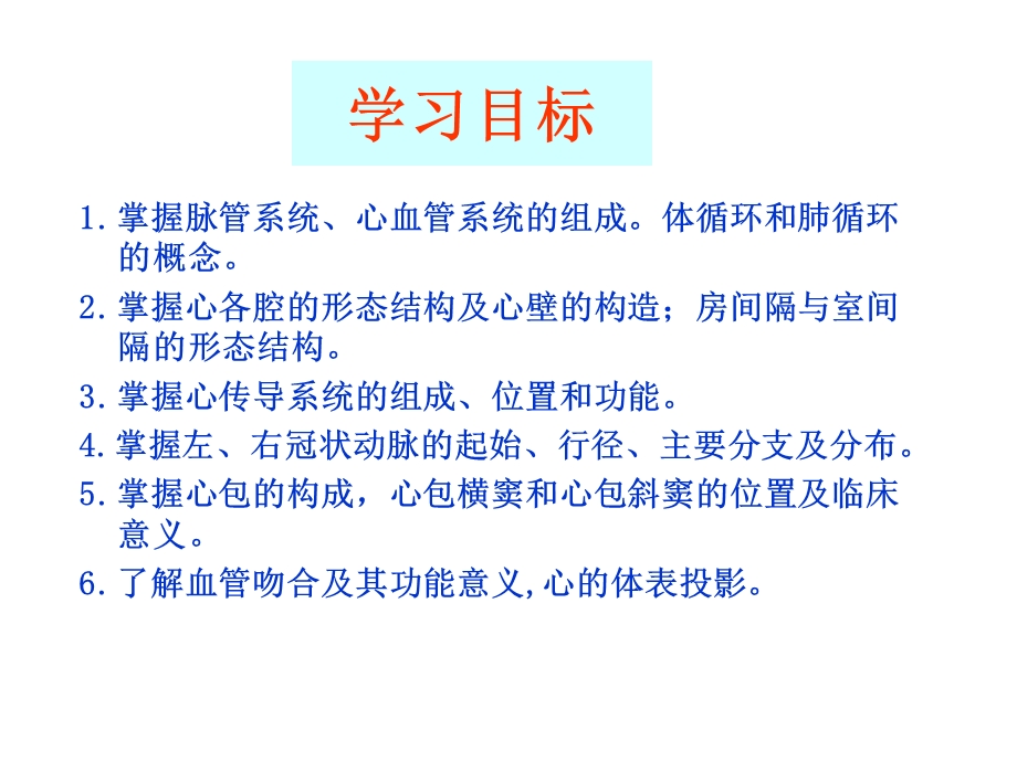 心血管系统概述、心.ppt_第3页