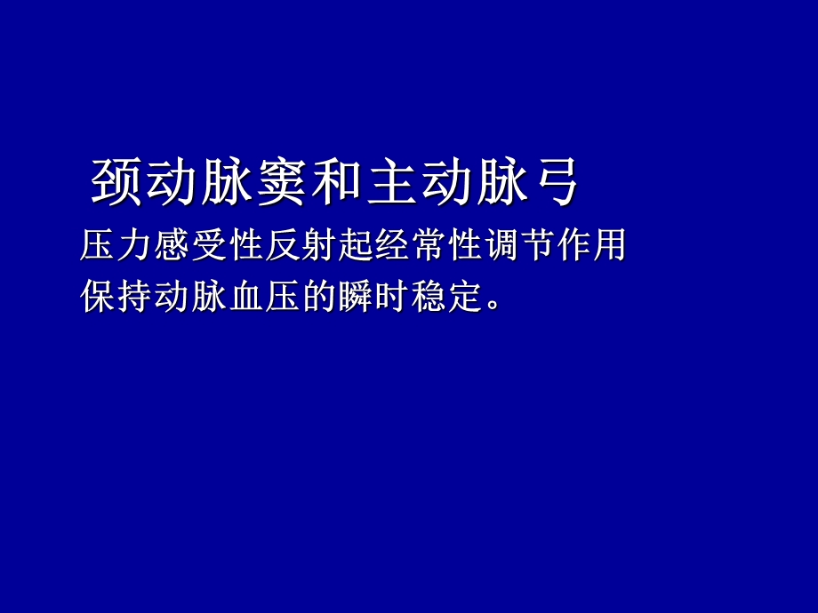 家兔动脉血压的调节.ppt_第3页