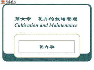 植物生长调节物质-植物栽培与景观应用试验教学中心.ppt