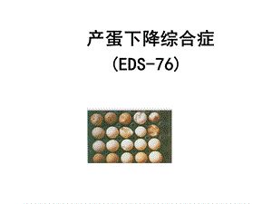 聊城大学农学院禽病学课件病毒病之EDS76.ppt