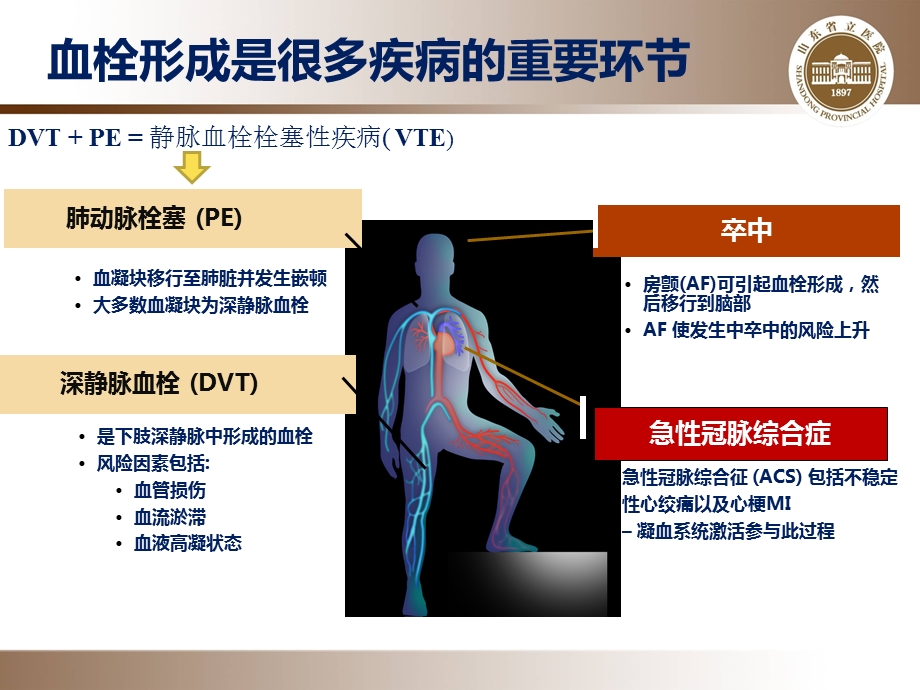 抗凝药物合理应用.ppt_第3页