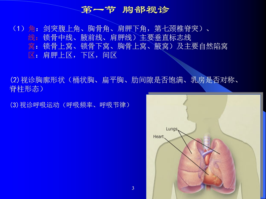 胸腹部体格检查.ppt_第3页