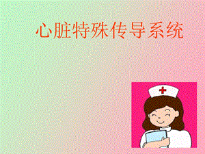 心脏传导系统.ppt