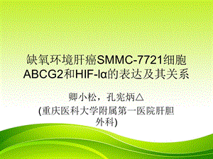 缺氧环境肝癌SMMC.ppt