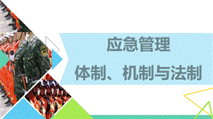 应急管理机制体制与法制.ppt