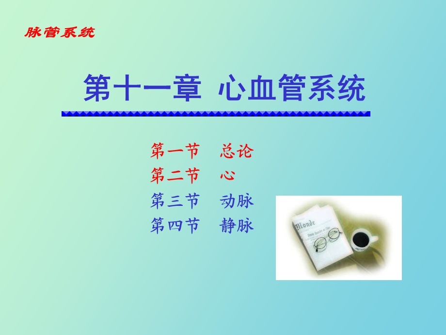 心血管系统脉管.ppt_第3页