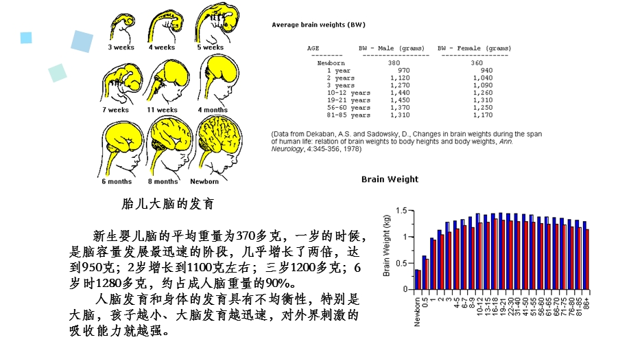 幼儿教育新理念.ppt_第2页