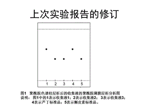 槐花米中芦丁的鉴定.ppt