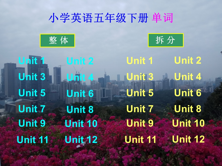 沪教牛津版小学英语五年级下册单词(手机版).ppt_第1页