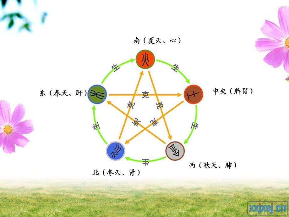 第yi章四季营养保健1.ppt_第2页