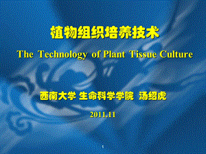 植物组织培养技术课件.ppt