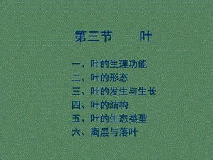 植物营养器官.ppt