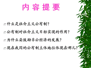 社会主义公有制的实质和核心.ppt