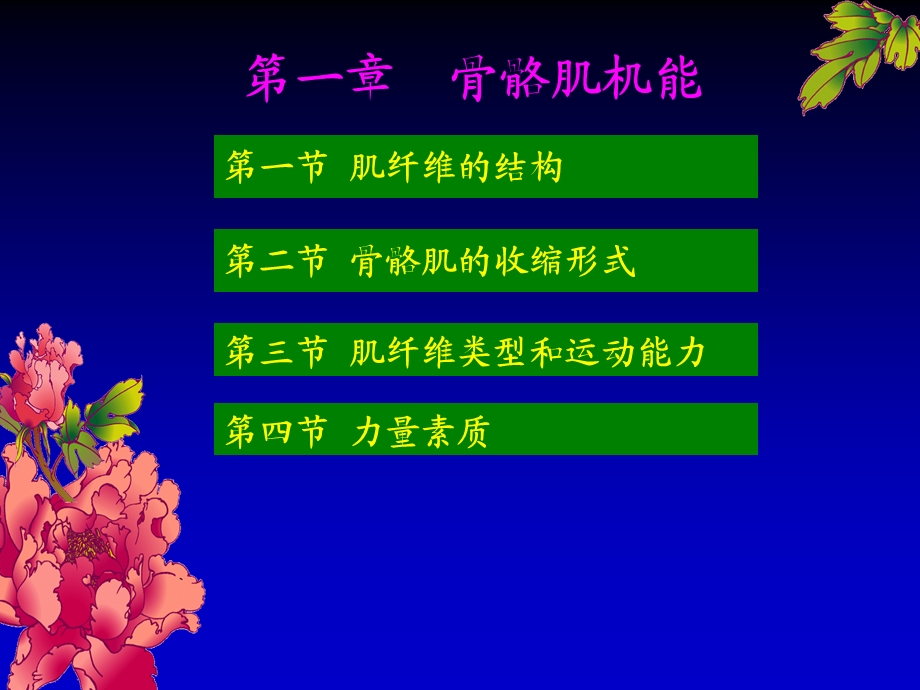 健身训练生理骨骼肌.ppt_第1页