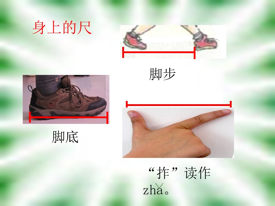 沪版一年级下册度量.ppt_第2页