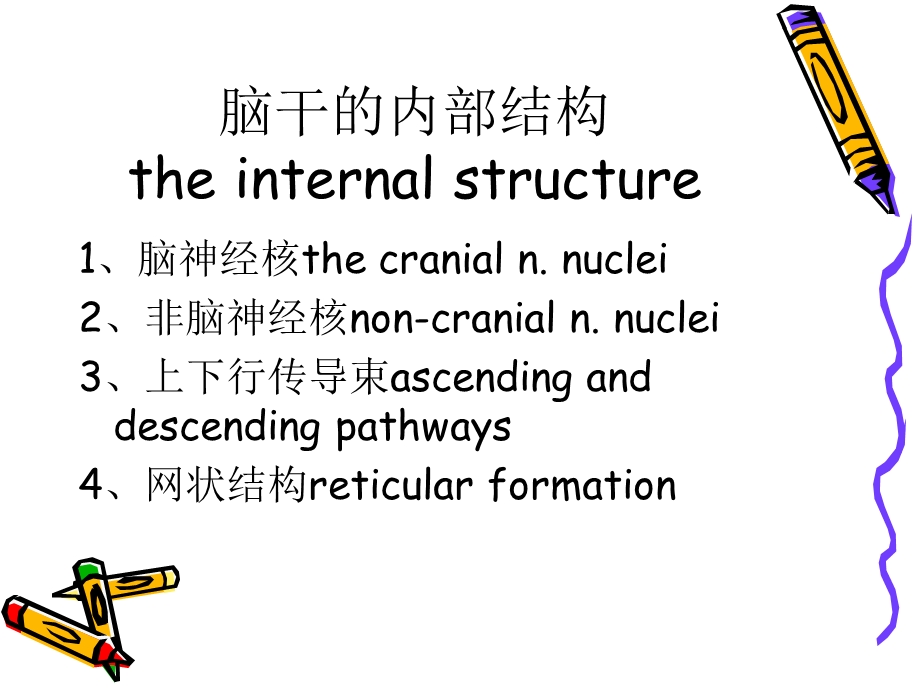 脑干的内部结构.ppt_第1页