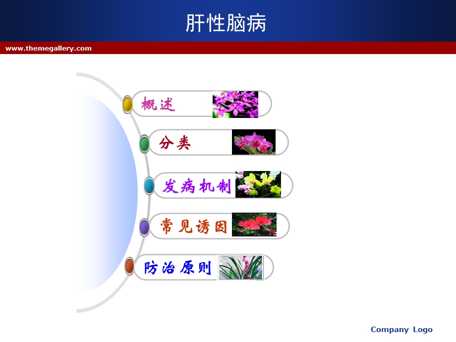 肝功能障碍.ppt_第2页