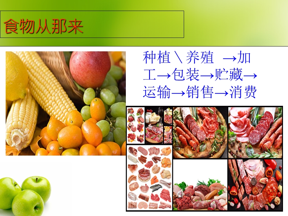 小学PPT课件：饮食与健康.ppt_第3页