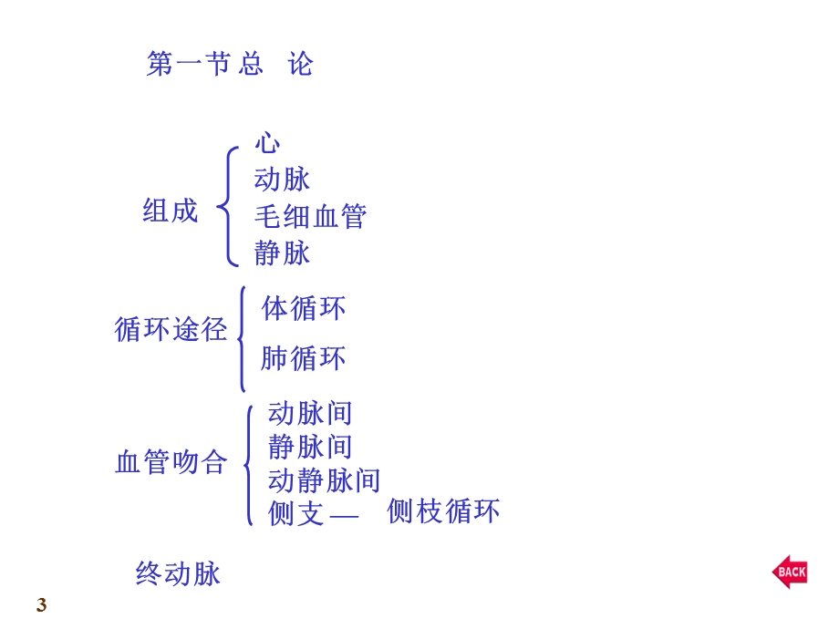 心血管系统解剖课件.ppt_第3页