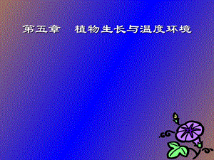 植物生长与温度环境.ppt