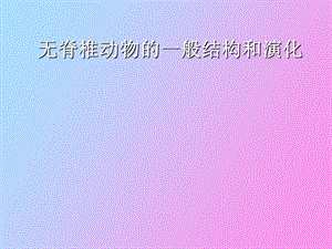 无脊椎动物演化.ppt