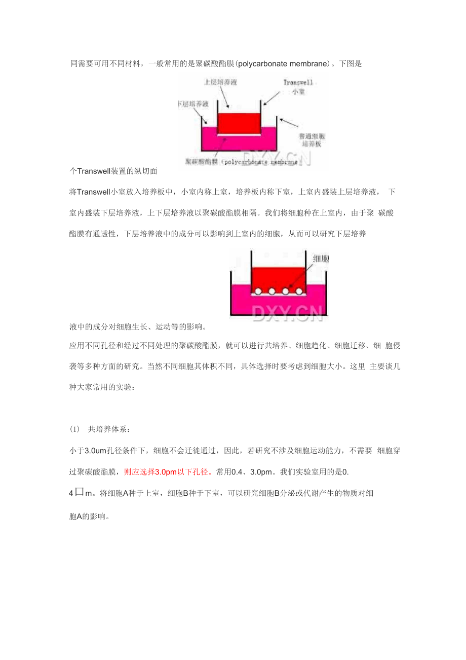 Transwell侵袭实验全面总结.docx_第2页