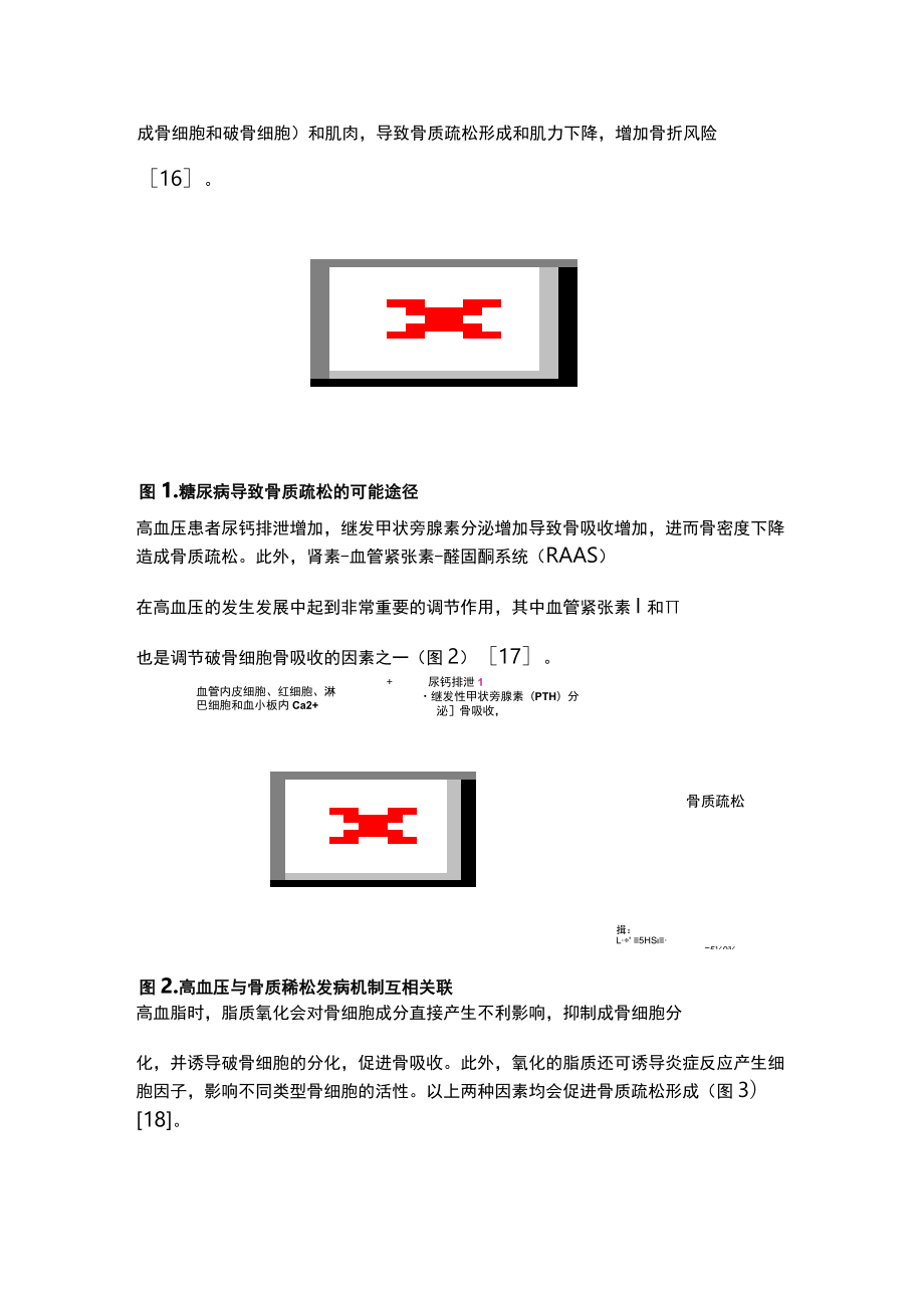 2023“三高”人群的骨质疏松及骨折风险的防治（全文）.docx_第3页