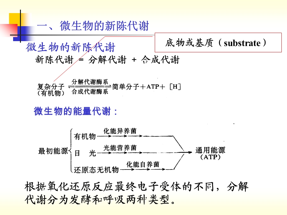 污水生物处理的基本概念生化反应动力.ppt_第3页