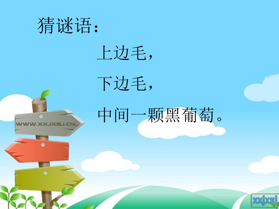 沙眼与红眼病的预防.ppt_第2页