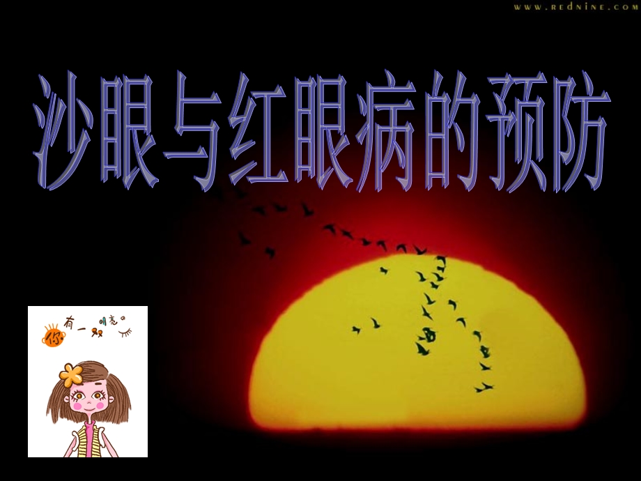 沙眼与红眼病的预防.ppt_第3页