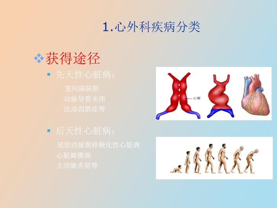 心脏疾病的直视手术治疗.ppt_第3页