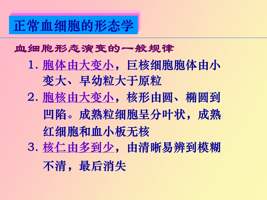 正常血细胞形态医学.ppt_第3页