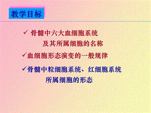 正常血细胞形态医学.ppt