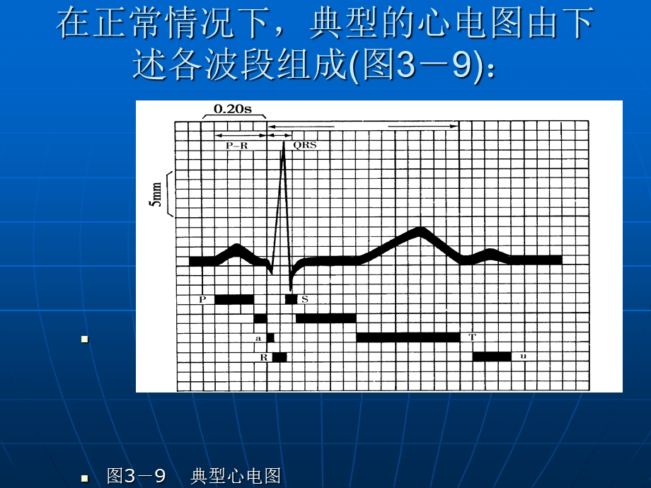 心肌细胞动作电位与心电图的关系.ppt_第3页