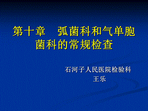 弧菌科和气单胞菌科的常规检查.ppt