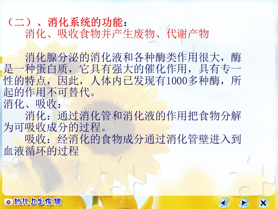 幼儿消化系统及卫生保健.ppt_第2页