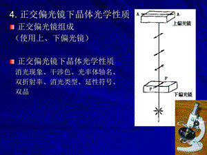 正交偏光镜下晶体光学性质.ppt