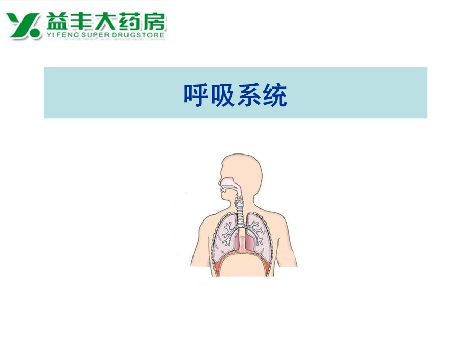 标准化健康解决方案.ppt_第2页