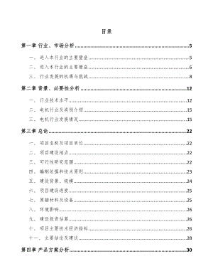 呼和浩特微特电机项目可行性研究报告.docx